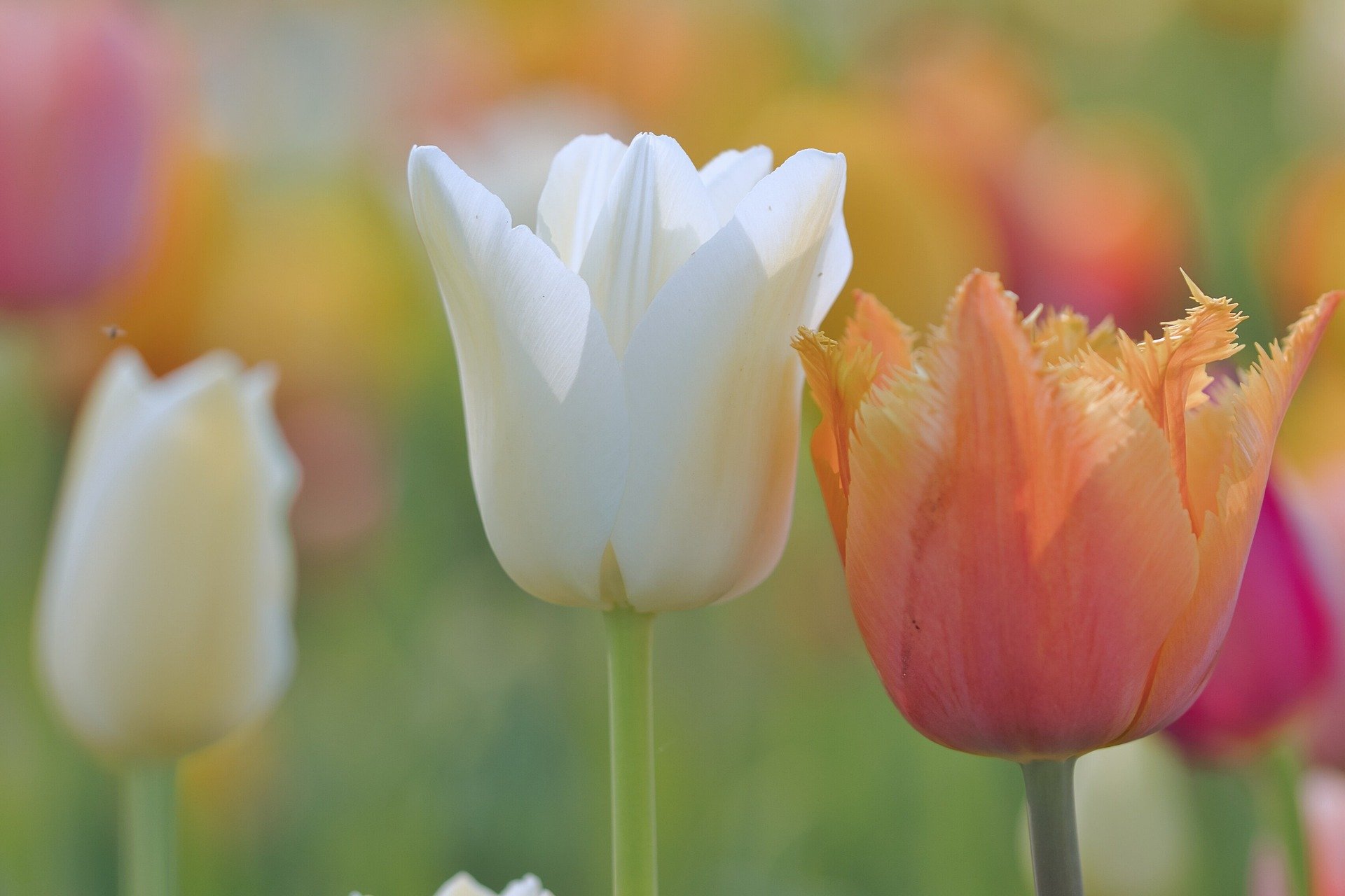 Die Gestaltung des Gartenhauses ist heute einfacher denn je
