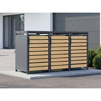 25 % Discount! StarLine 3er Mülltonnenbox Modell Velaro 240 L